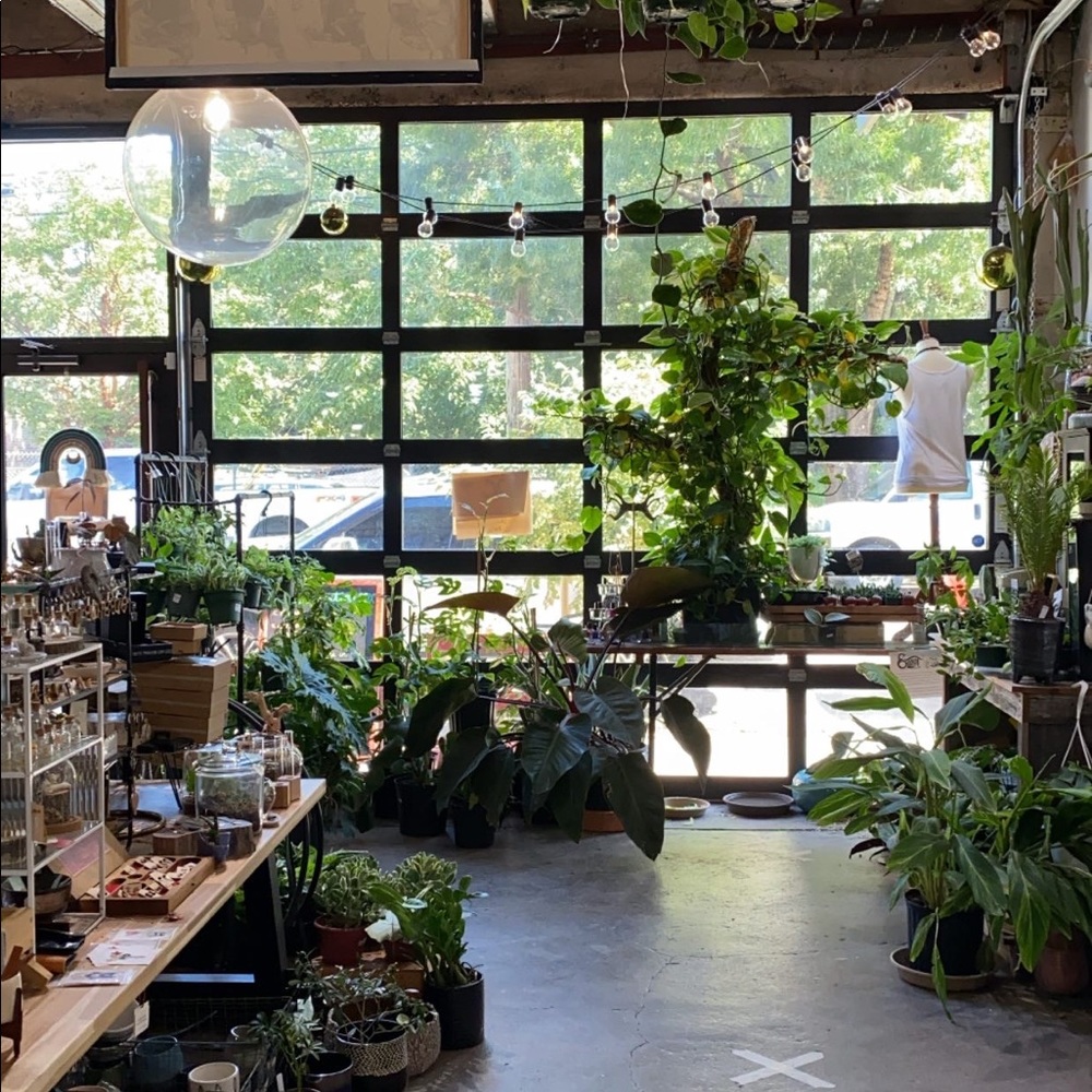 Meet your Posher, Xavien